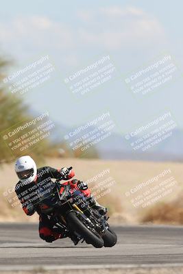 media/Oct-13-2025-Moto Forza (Mon) [[a66d839500]]/3-B Group/Session 4 Turn 4 Tree of Life/